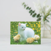 Carte Postale chat (Debout devant)