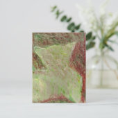 Carte Postale Chat (Debout devant)