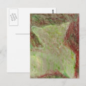 Carte Postale Chat (Devant / Derrière)