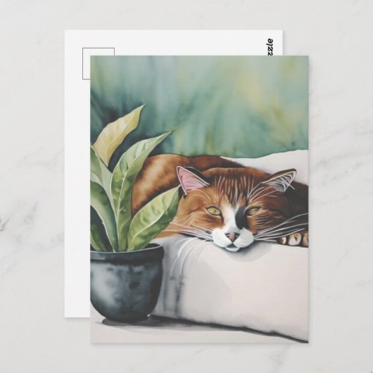 Carte Postale chat (Devant / Derrière)