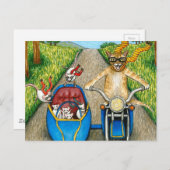 Carte Postale Chat 384 (Devant / Derrière)