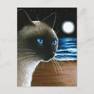 Carte Postale Chat 396 Siamais