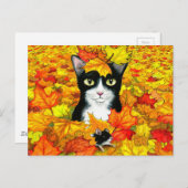 Carte Postale chat 447 (Devant / Derrière)