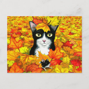 Carte Postale chat 447