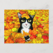 Carte Postale chat 447 (Devant)