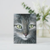 Carte Postale Chat 478 (Debout devant)