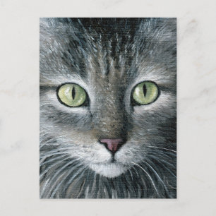 Carte Postale Chat 478