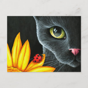 Carte Postale Chat 510