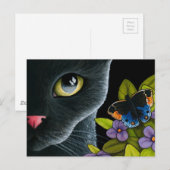 Carte Postale Chat 557 (Devant / Derrière)