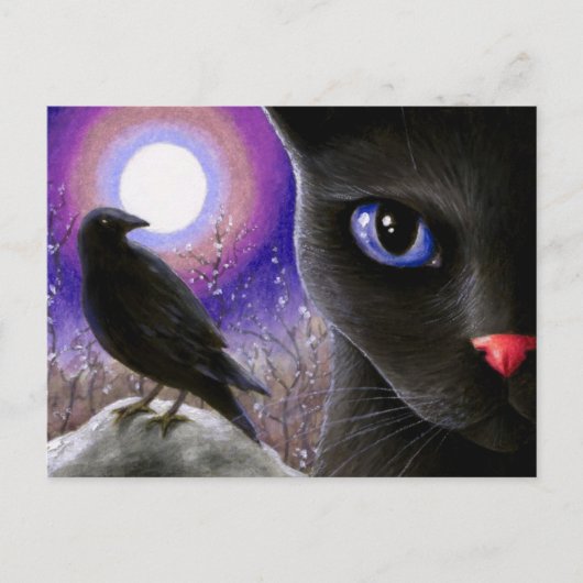 Carte Postale Chat 570 (Devant)