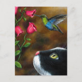 Carte Postale Chat 571 Tuxedo avec colibri (Devant)