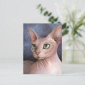 Carte Postale Chat 578 Sphynx (Debout devant)