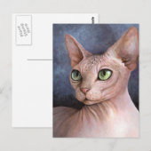 Carte Postale Chat 578 Sphynx (Devant / Derrière)