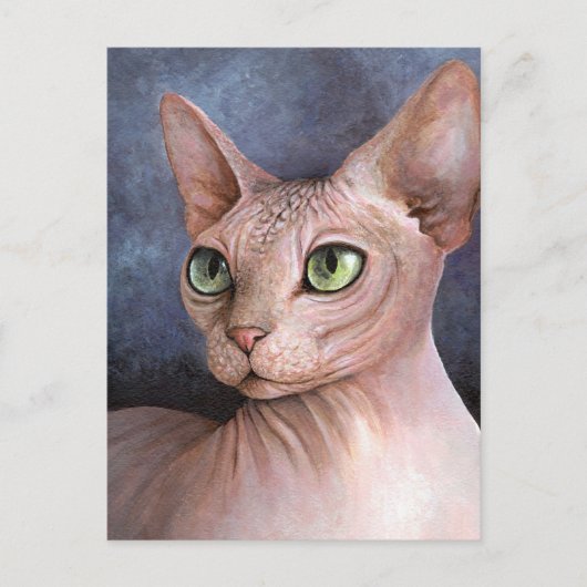 Carte Postale Chat 578 Sphynx (Devant)