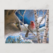 Carte Postale Chat 600 (Devant)