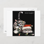 Carte Postale Chat à carreaux (Devant / Derrière)