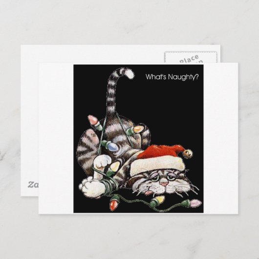 Carte Postale Chat à carreaux (Devant / Derrière)