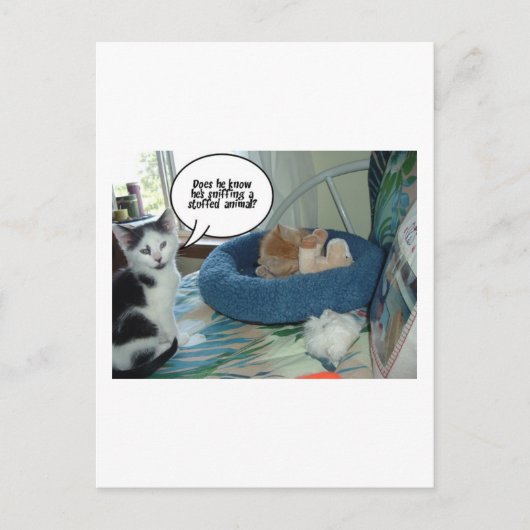 Carte Postale Chat à chat Tabby Orange (Devant)