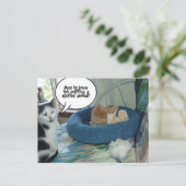 Carte Postale Chat à chat Tabby Orange (Debout devant)