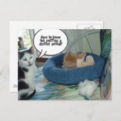 Carte Postale Chat à chat Tabby Orange (Devant / Derrière)