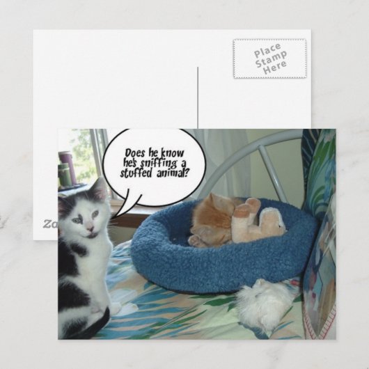 Carte Postale Chat à chat Tabby Orange (Devant / Derrière)