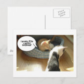 Carte Postale Chat à chat Tabby Orange (Devant / Derrière)