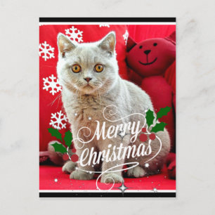 Carte Postale Chat à cheveux court britannique, voeux de Noël