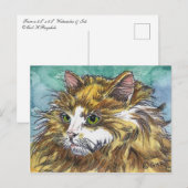 Carte Postale Chat à cheveux longs orange et blanc (Devant / Derrière)