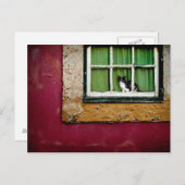 Carte Postale Chat à la fenêtre (Devant / Derrière)