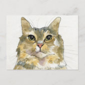 Carte Postale Chat à l'aquarelle (Devant)