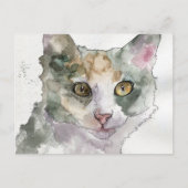 Carte Postale Chat à l'aquarelle (Devant)