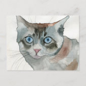 Carte Postale Chat à l'aquarelle (Devant)