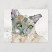 Carte Postale Chat à l'aquarelle (Devant)