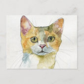 Carte Postale Chat à l'aquarelle (Devant)