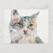 Carte Postale Chat à l'aquarelle (Devant)
