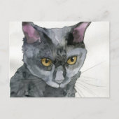 Carte Postale Chat à l'aquarelle (Devant)