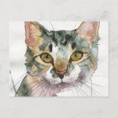 Carte Postale Chat à l'aquarelle (Devant)