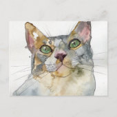 Carte Postale Chat à l'aquarelle (Devant)