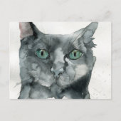 Carte Postale Chat à l'aquarelle (Devant)