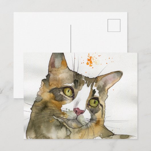 Carte Postale Chat à l'aquarelle (Devant / Derrière)