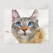 Carte Postale Chat à l'aquarelle (Devant)