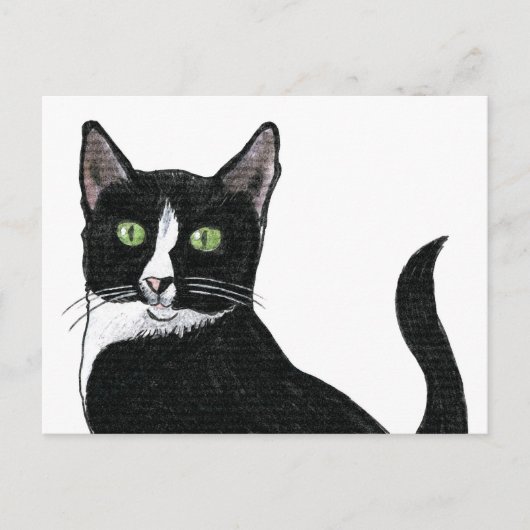 Carte Postale Chat à oreille verte noir et blanc (Devant)