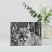 Carte postale Chat à rire (Debout devant)