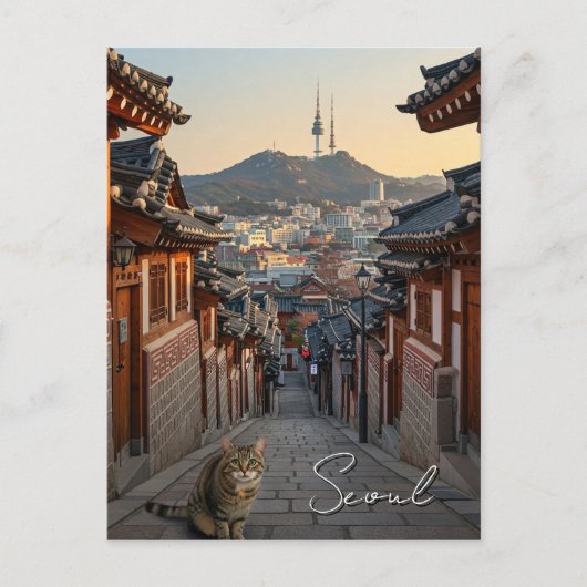 Carte Postale Chat à Séoul Bukchon Corée du Sud (Devant)
