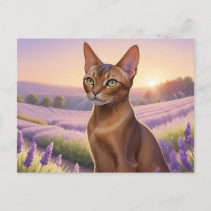 Carte Postale Chat abyssin en champ de lavande