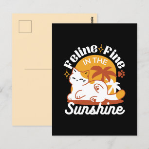 Carte Postale Chat adorable se relaxer au soleil - Animal de com