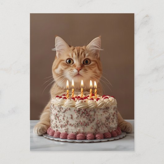 Carte Postale Chat amusant avec gâteau d'anniversaire (Devant)