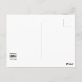 Carte Postale Chat au gingembre Longhé (Dos)