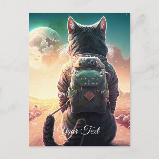 Carte Postale Chat au repos. (Devant)