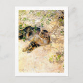Carte Postale Chat au soleil, Bruno Liljefors (Devant)
